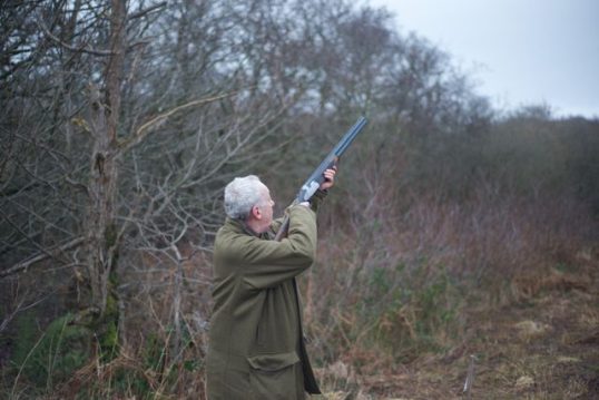 Firearms Licensing